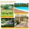Costway Patio Rocking Chair Acacia Wood Armrest Cushioned Sofa Garden Deck White\Red\Turquoise